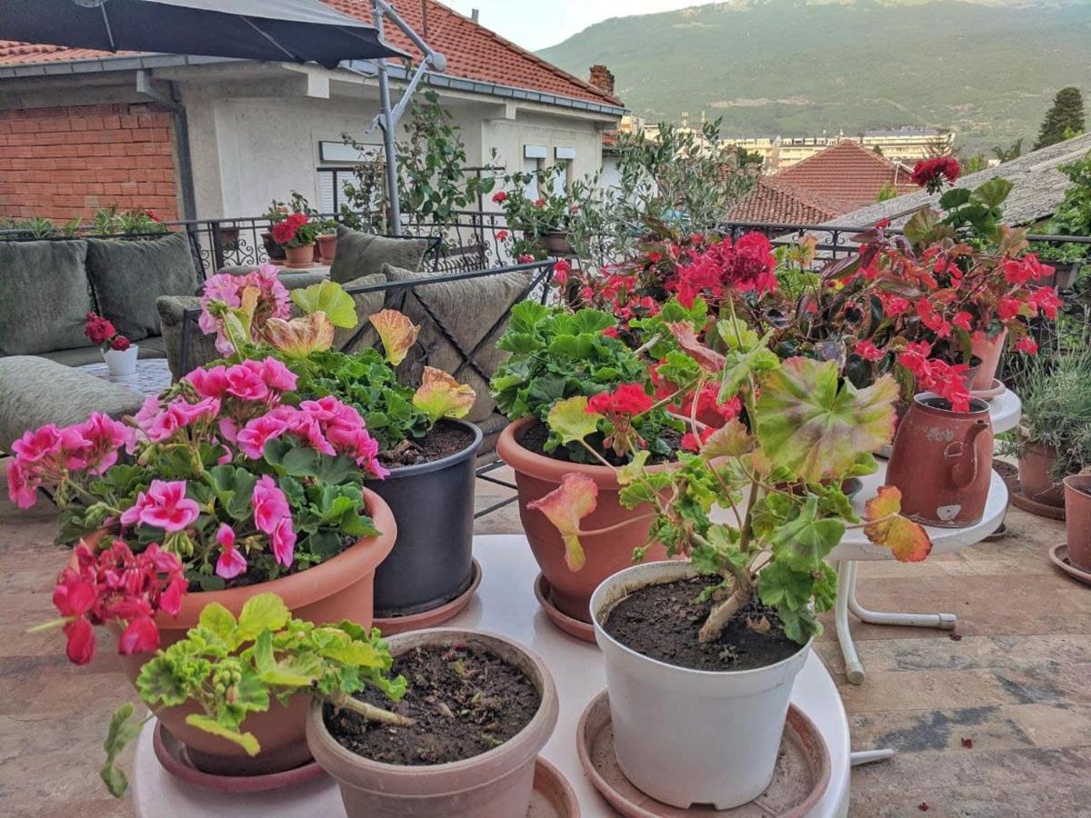 Apartments Evelyn Ohrid Exterior photo